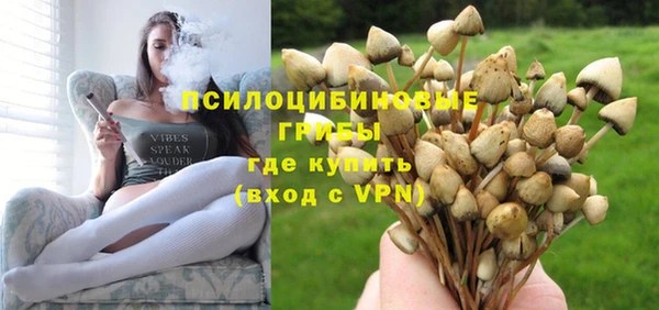 бутират Пролетарск