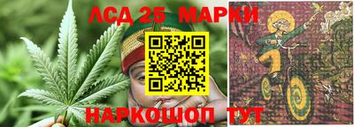 PSILOCYBIN Бийск