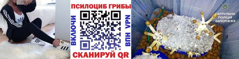 blacksprut как зайти  это наркотические препараты  Галлюциногенные грибы GOLDEN TEACHER  Великий Новгород 