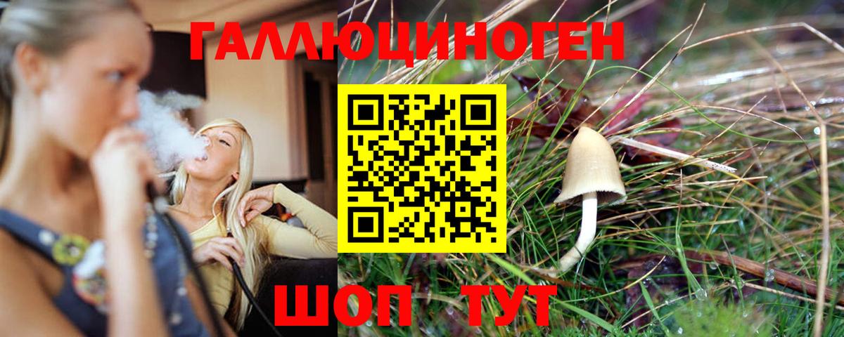 Галлюциногенные грибы Magic Shrooms Великий Новгород