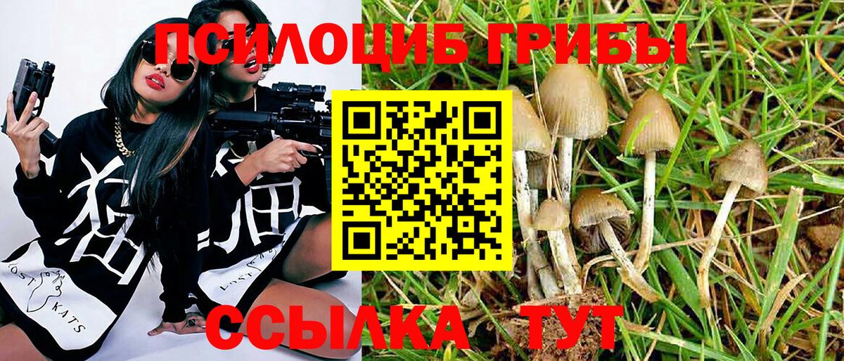 Великий Новгород  Псилоцибиновые грибы Magic Shrooms  Вход с VPN  Галлюциногенные грибы Magic Shrooms 
